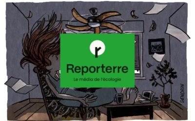 Face à la canicule, la solution du ventilateur de plafond – Reporterre