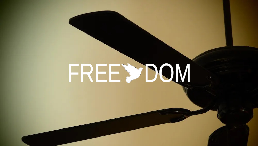 Ventilateurs pas cher – le vrai prix du Low cost