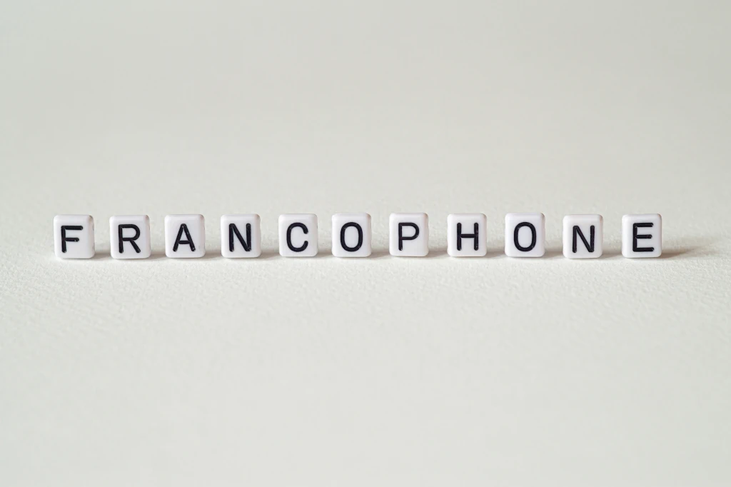 Quelles terminologies francophones privilégier ?